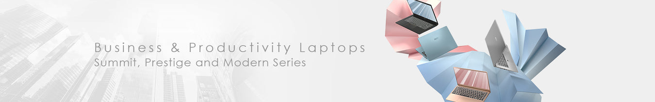 Laptopy Business & Productivity